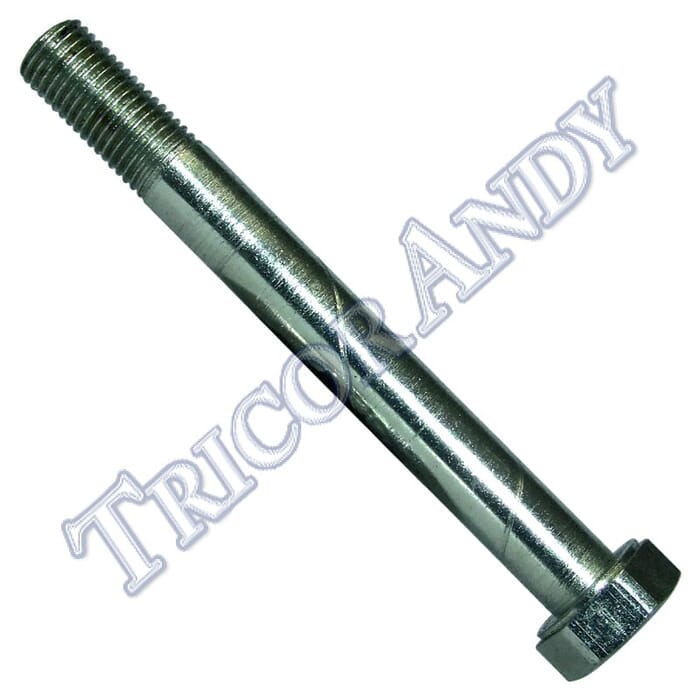BOLT 5/16 CEI X 2 13/16