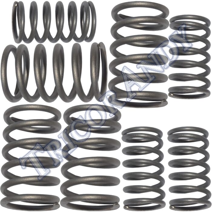 VALVE SPRING SET IRON HEAD